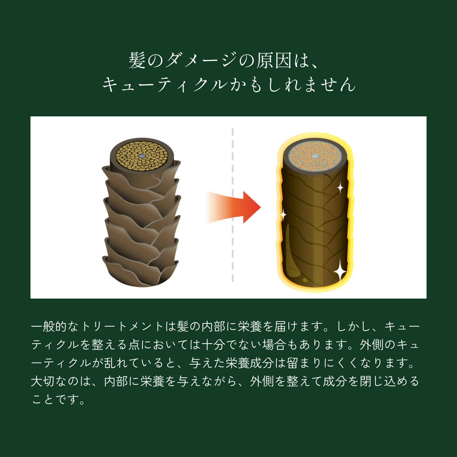 ウォータージュエル トリートメント キューティクルプラス