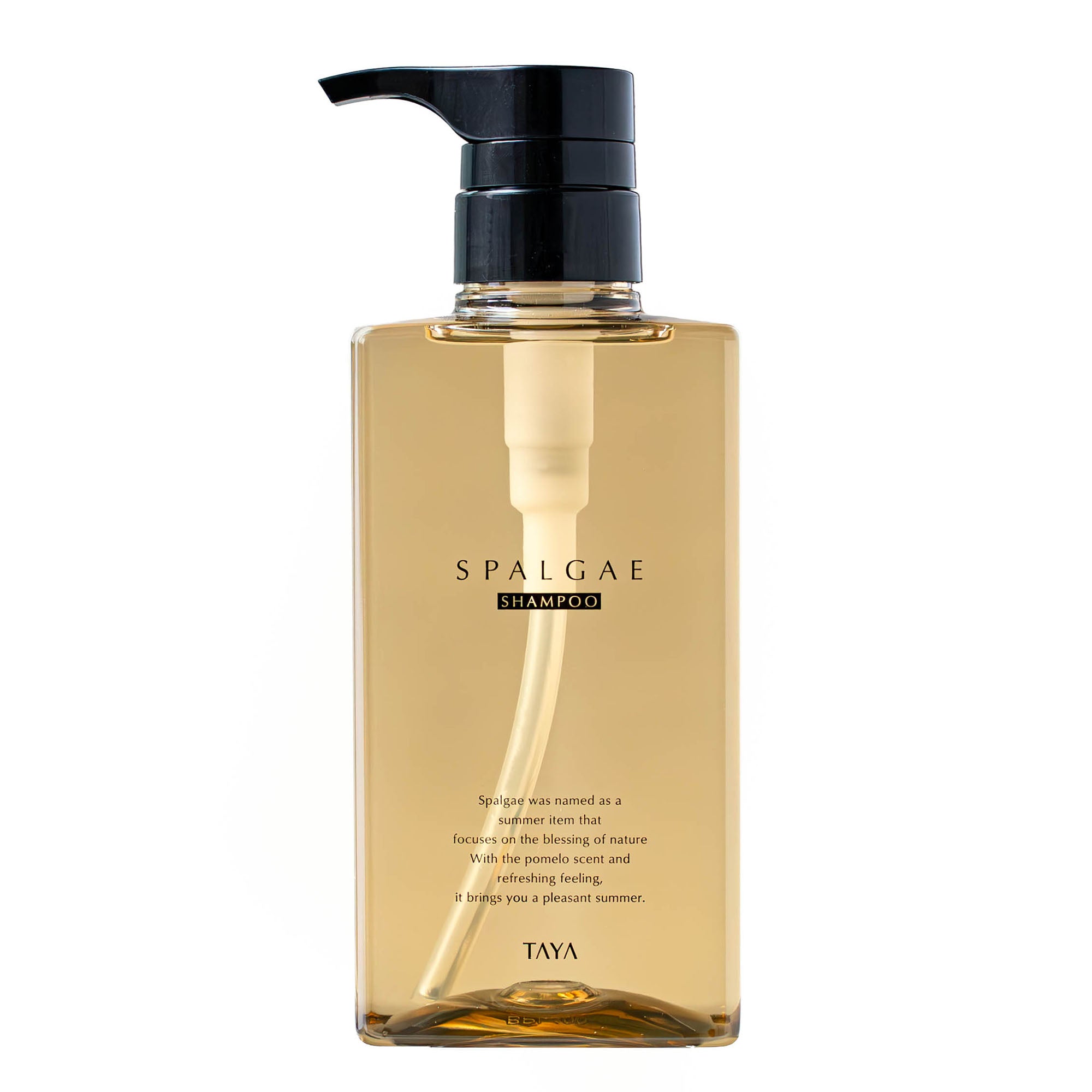 スパルゴ シャンプー 400mL ｜ TERAS（テラス）/ サロン専売正規品
